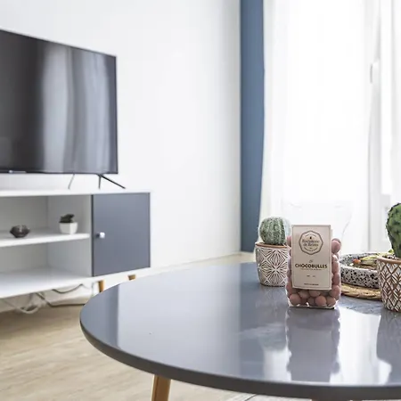 Apartment Lumineux Avec Wifi Au Coeur De - Fr-1-870-25 *